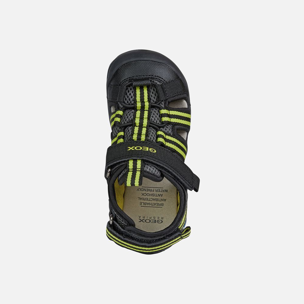 Geox Sandals Black/Green Kyle - Geox Boys Shoes - YDHURB293